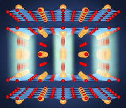Aucune résistance à la température ambiante: L'excitation
      de résonance des oscillations de l'oxygène (floues) entre les
      couches doubles CuO2 (bleu clair, Cu d'orange jaune, rouge O) avec
      de courtes impulsions lumineuses conduit aux atomes dans le réseau
      cristallin brièvement décalage loin de leurs positions
      d'équilibre. Ce déplacement entraîne une augmentation des
      séparations à l'intérieur de couches CuO2 une double couche et une
      diminution simultanée dans les séparations entre des couches
      doubles. Il est fort probable que cela améliore la
      supraconductivité.