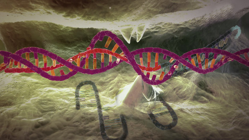 CRISPR-Cas9 – eine Schere aus Enzym und RNA
