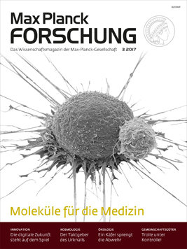 MaxPlanckForschung 3/2017: Fokus: Moleküle für die Medizin