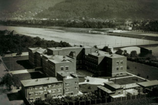 Boom der Institute (1931)