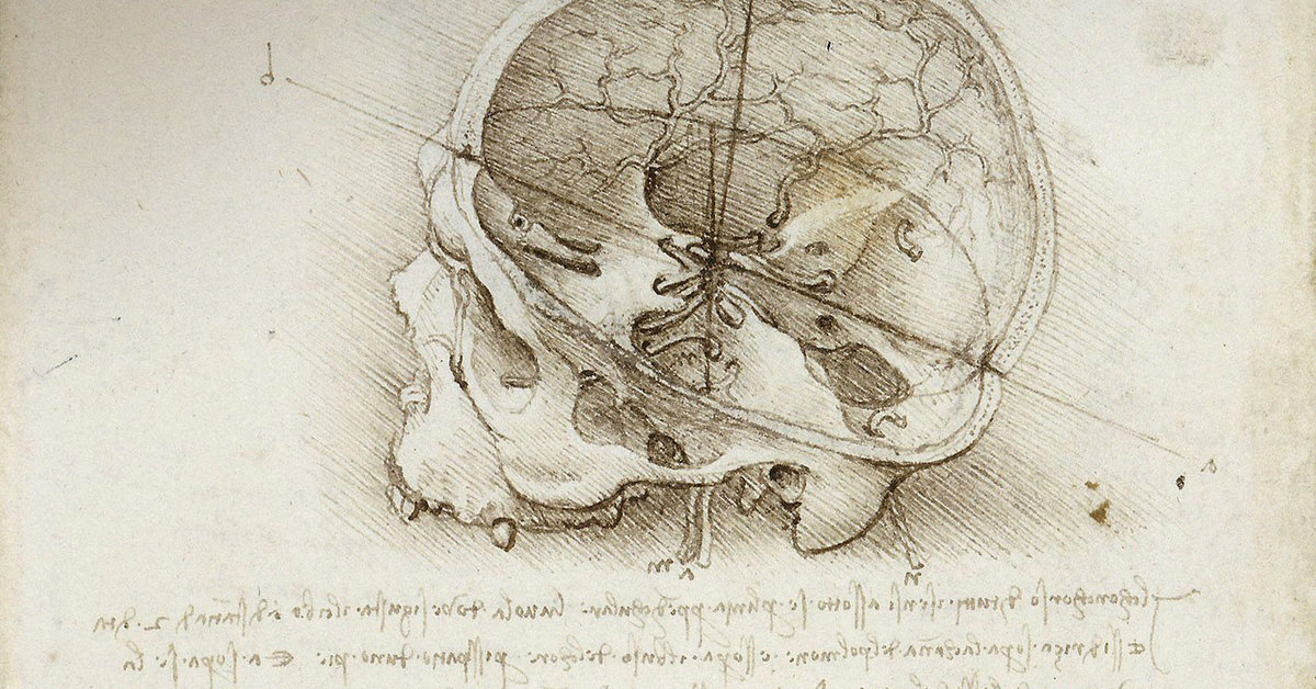 Behold and See 4: Human Anatomy and Health: Samples