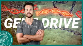 Gene Drive - turbo for genes