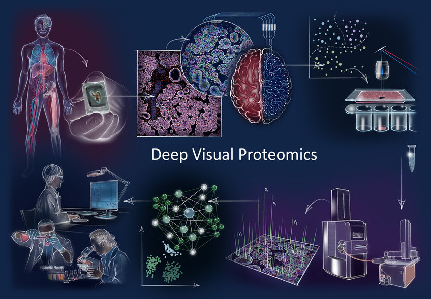 Deep Visual Proteomics concept and workflow