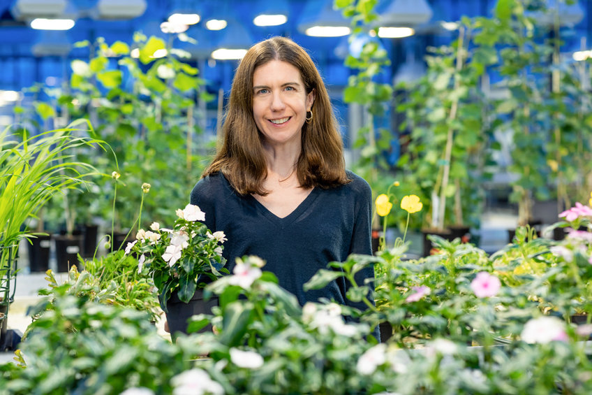 Sarah Ellen O'Connor has been Director at the Max Planck Institute for Chemical Ecology since 2019.