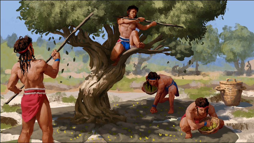 Life picture: olive harvesting in the Aegean Bronze Age.