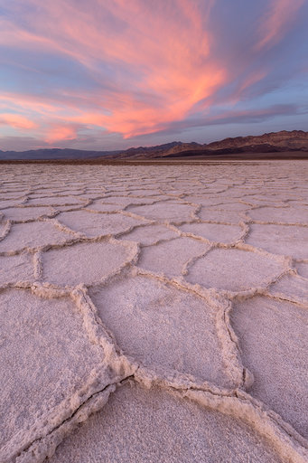 New research explains how the honeycomb patterns in salt deserts emerge 