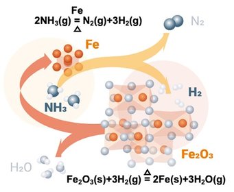 Autocatalytic reduction of iron oxide by hydrogen released from ammonia cracking during the direct reduction process.