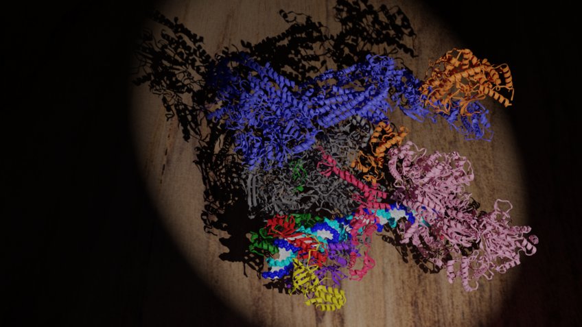 Three-dimensional structure of the transcription initiation complex. The different colours mark different protein factors that help RNA polymerase II (gray) find the beginning of a gene, unwind the DNA double helix, and start RNA synthesis.<p>