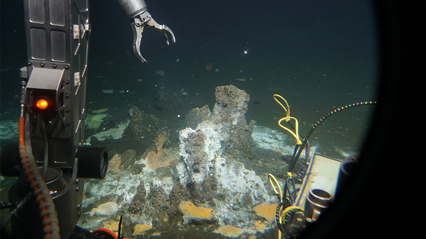 In the spotlight of the U.S. deep-sea submersible ALVIN, a small reddish-brown vent massif can be seen on the seafloor of the Guaymas Basin. This formation is surrounded by abundant hydrothermally heated oil-rich sediments covered by white and orange bacterial mats. The core from which the Candidatus Alkanophaga archaea ultimately originated was collected by the team of the manned deep-sea submersible. 