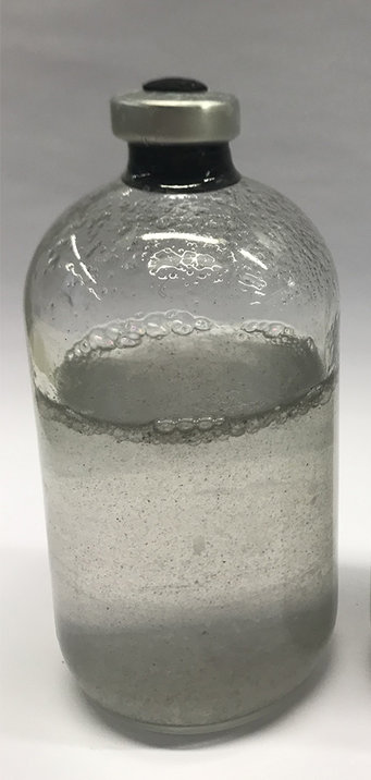 The microbial community was cultivated in a variety of liquid alkanes, here a hexane culture. An oil layer can be observed on the surface.