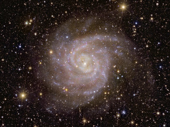Bluish swirl with recognisable spiral arms and a bright, yellowish centre in front of a starry sky.
