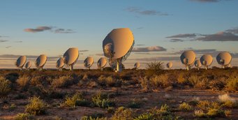 Dozens of radio dishes in the sunset, spread out on brown desert ground with bushes