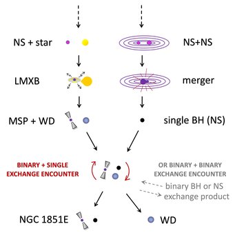Fig. 3: Potential formation history of the radio pulsar NGC 1851E and its exotic companion star (see text for details).  