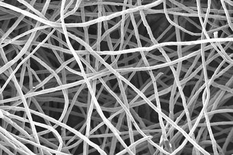 Electron microscope image of a metal fleece. A web of metal threads can be seen at high magnification.