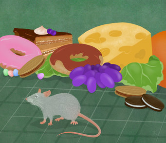 Mouse, who is feeling sick, stands in front of delicious food such as cheese, donuts, grapes and biscuits.