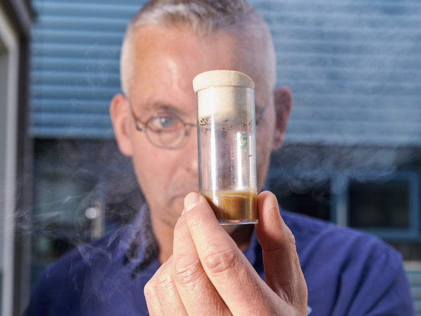 Markus Knaden is worried that air pollution not only severely disrupts the chemical communication of vinegar flies, but also of many other insects and contributes to the decline of insect populations. 