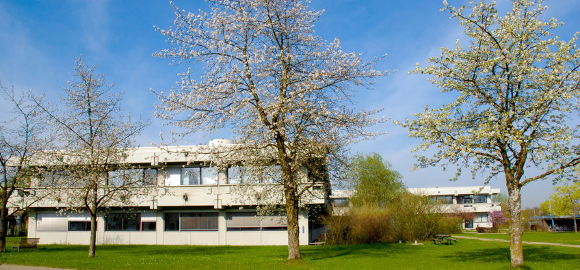 Max-Planck-Institut für biologische Intelligenz, in Gründung (Standort Martinsried)