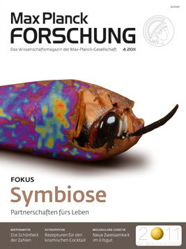 MaxPlanckForschung - Heft 4/2011: Symbiose - Partnerschaften fürs Leben