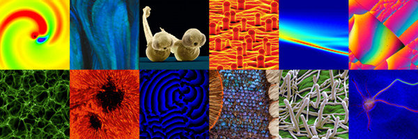 Collage of images from the Images of Science exhibition