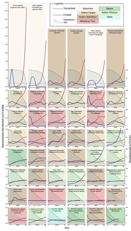 Max-Planck-Wissenschaftler haben einen Katalog von 46 Arten und deren jeweiligen Sterblichkeiten und Geburtenraten erstellt.