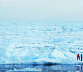 Klimawandel in der Arktis. Ist die große Schmelze noch zu stoppen?