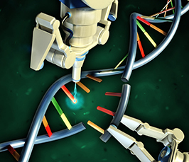 CRISPR-Cas9 - Insights from a Scientific Breakthrough